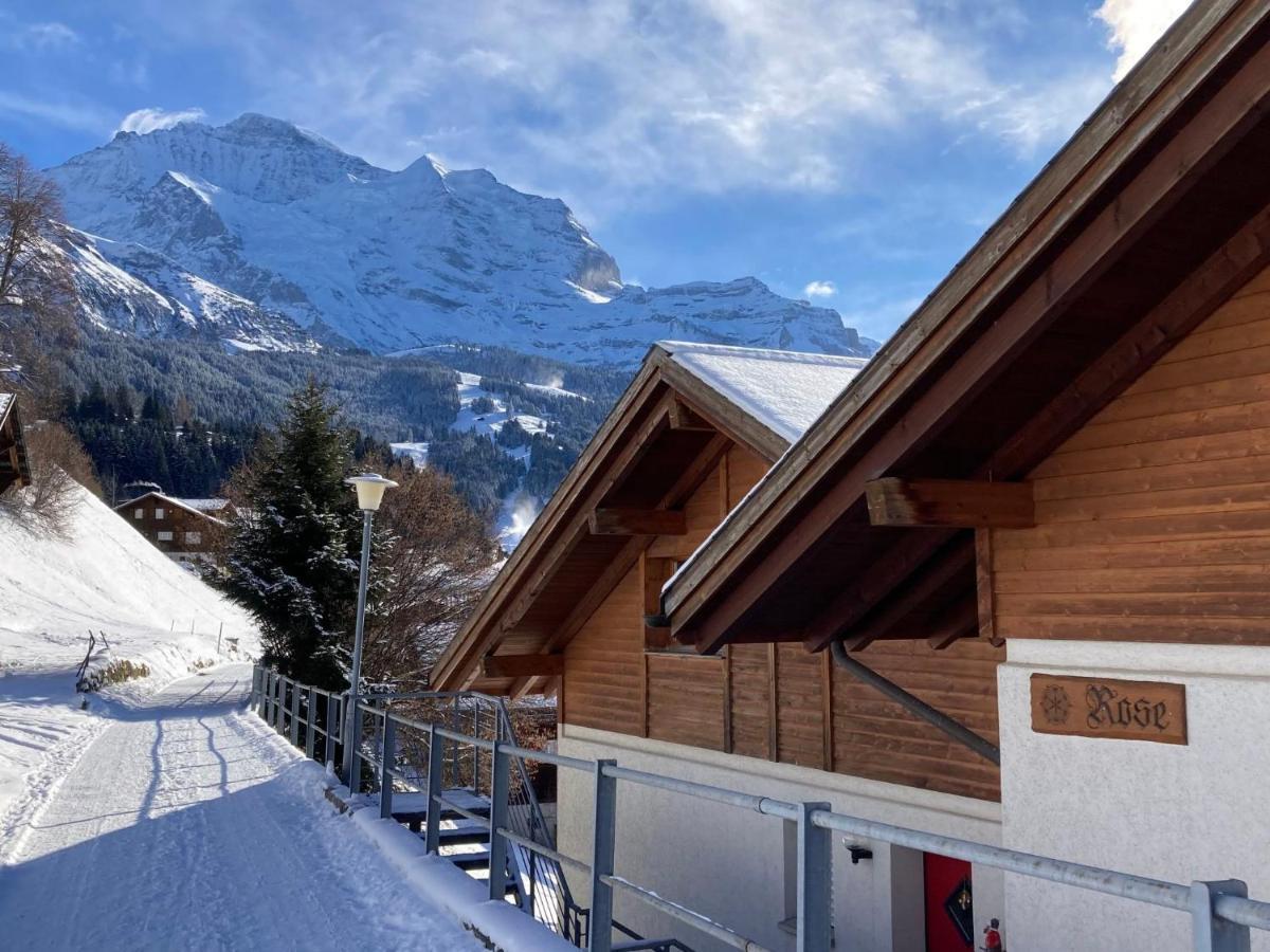 Apartment Rose Studio Y By Interhome Wengen Buitenkant foto